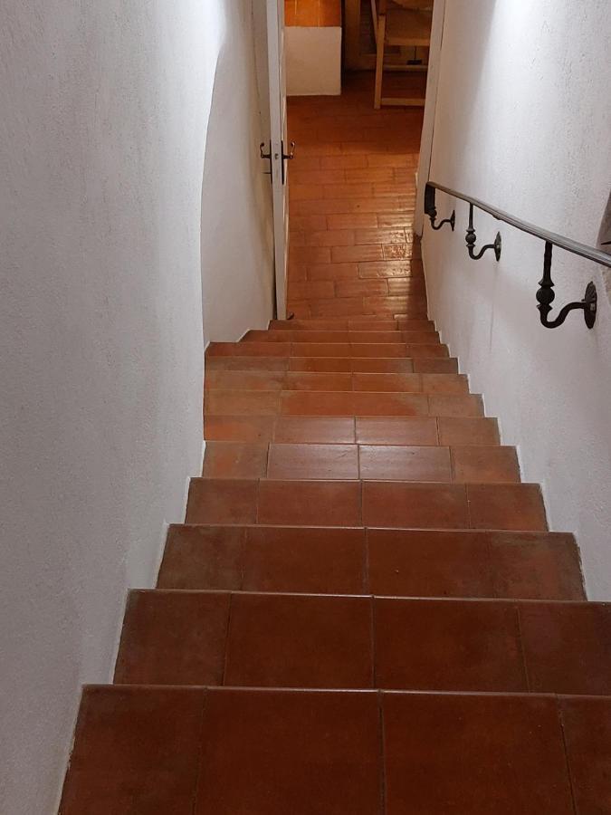 Apartament Da Ivo' Montemarcello Zewnętrze zdjęcie